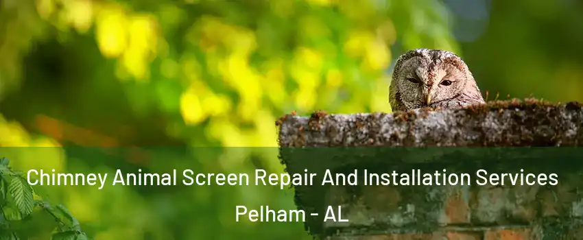  Chimney Animal Screen Repair And Installation Services Pelham - AL