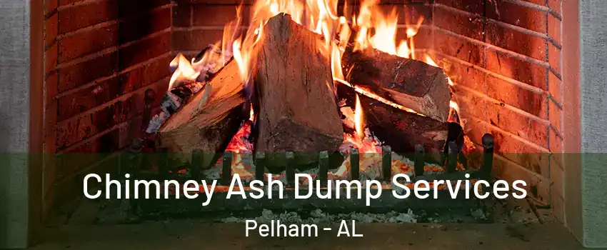  Chimney Ash Dump Services Pelham - AL