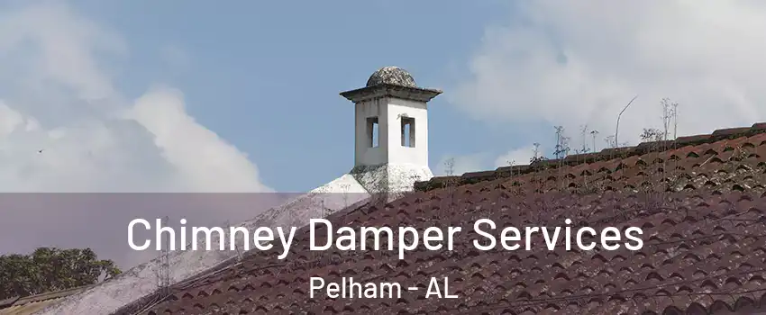  Chimney Damper Services Pelham - AL