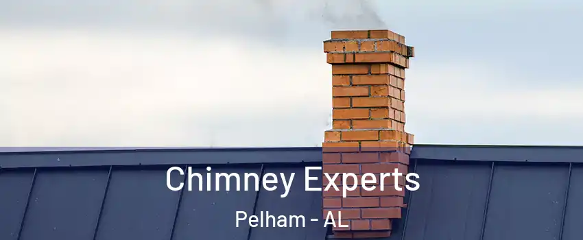  Chimney Experts Pelham - AL