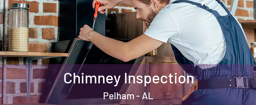  Chimney Inspection Pelham - AL