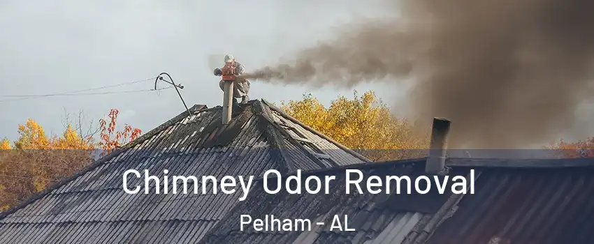  Chimney Odor Removal Pelham - AL