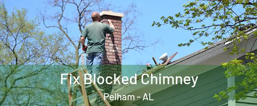  Fix Blocked Chimney Pelham - AL