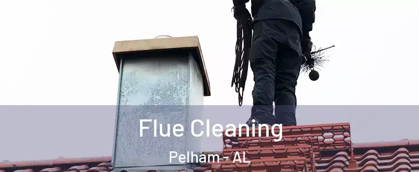  Flue Cleaning Pelham - AL