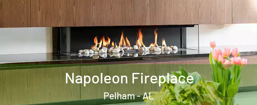  Napoleon Fireplace Pelham - AL